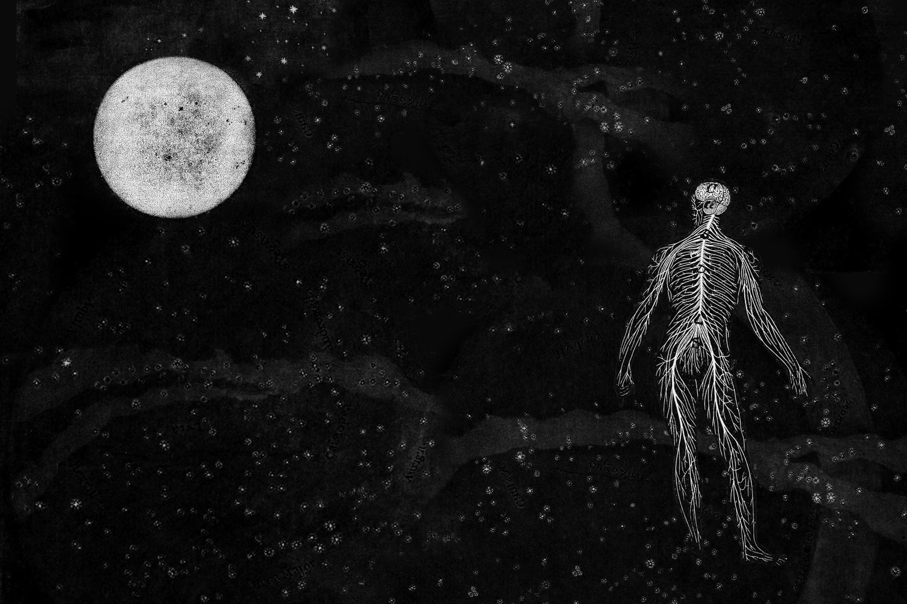 My Nervous System and the Moon